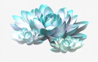 手绘花草素材花卉背景素材