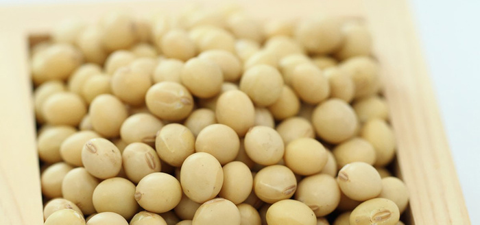 大豆黄豆卵磷脂大豆油大豆粉营养淘宝背景高清