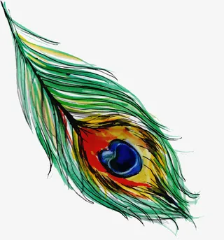 精致孔雀羽毛飘落免抠png装饰免抠