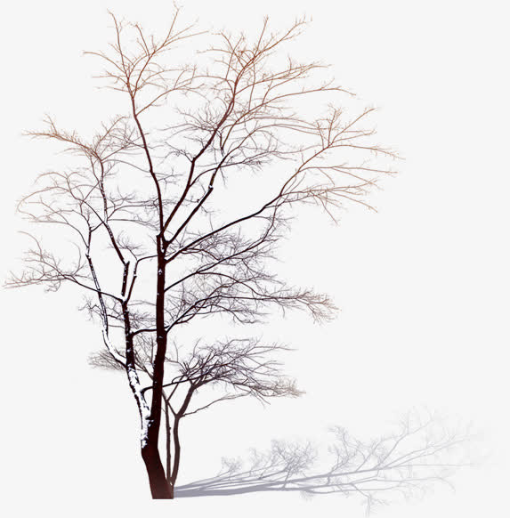 手绘冬季白色大树雪花免抠