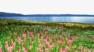 新疆赛里木湖风景免抠