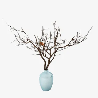 复古简约黑色树枝免抠