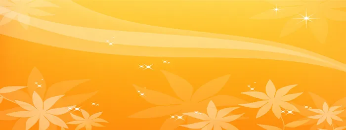 唯品会banner高清
