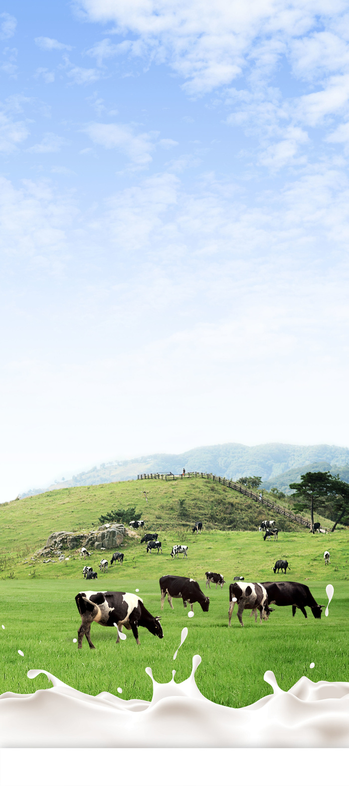 牛奶套餐宣传X展架背景素材高清
