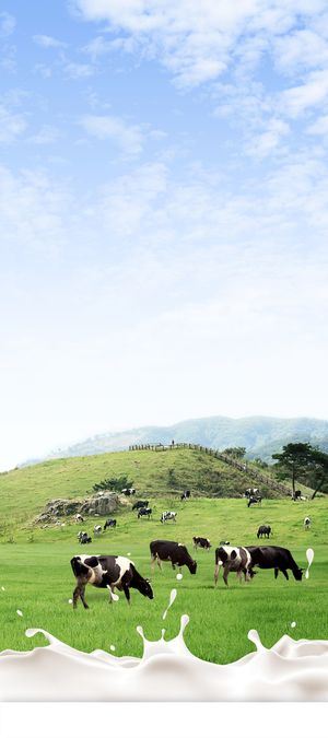 牛奶套餐宣传X展架背景素材高清