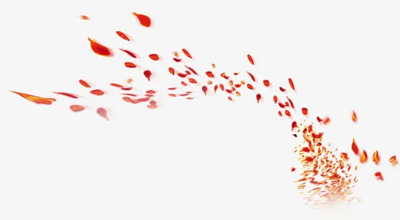 飞舞的花瓣免抠