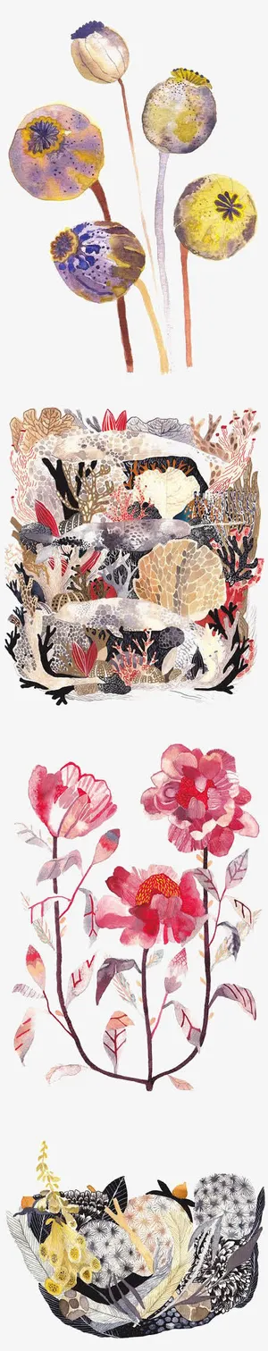 罂粟免抠