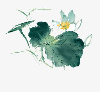 夏天荷叶荷花装饰设计元素免抠