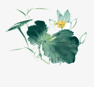 夏天荷叶荷花装饰设计元素免抠