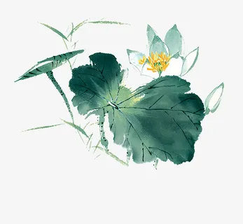 夏天荷叶荷花装饰设计元素免抠 夏天荷叶荷花装饰设计元素免抠