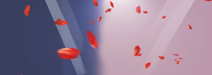 淘宝女包大促立体几何线条花瓣背景banner高清