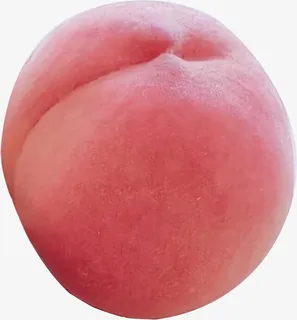红润可口的水蜜桃免抠 红润可口的水蜜桃免抠