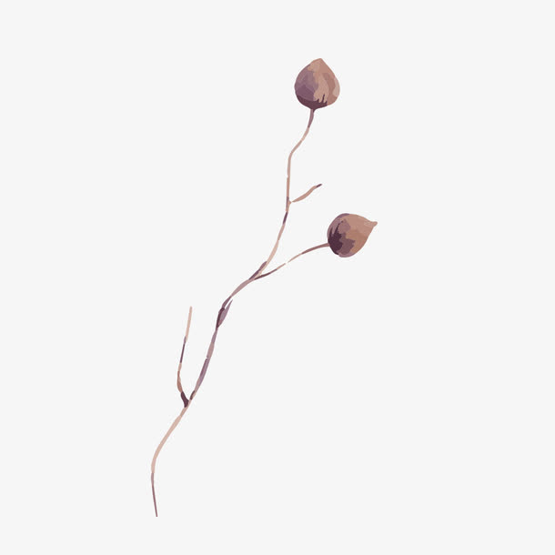手绘花苞免抠