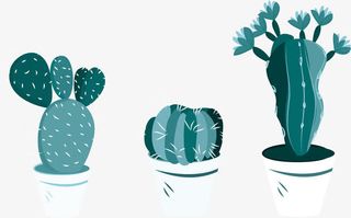 三个仙人掌盆栽免抠