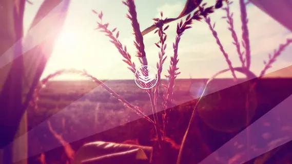 滤镜小麦太阳光店铺装修创意壁纸免抠