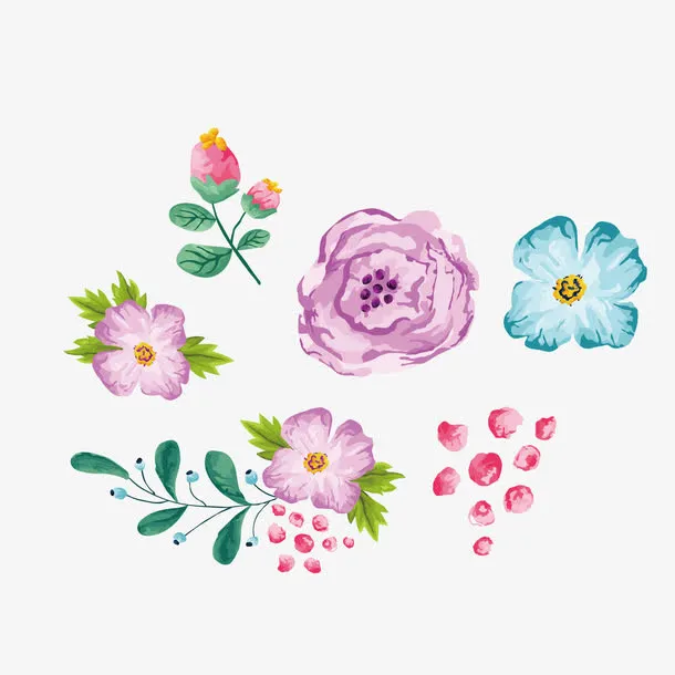 花朵插画彩色矢量图免抠