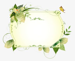 夏日清新植物欧式边框免抠