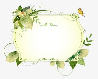 夏日清新植物欧式边框免抠
