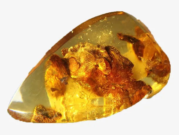 天然树脂琥珀免抠