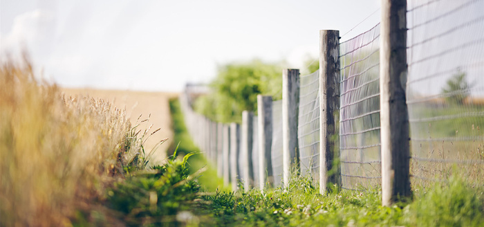 简约摄影背景高清