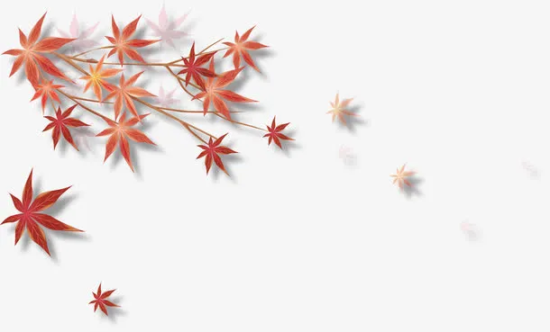 精美枫叶元素免抠