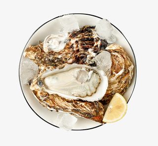 野生新鲜生蚝免抠
