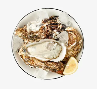 野生新鲜生蚝免抠