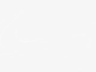 小白点装饰物免抠