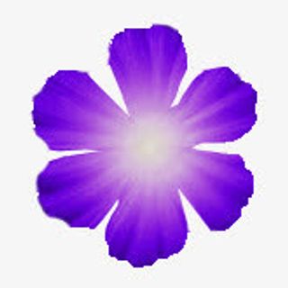 抽象花朵素材鲜花图片素材免抠