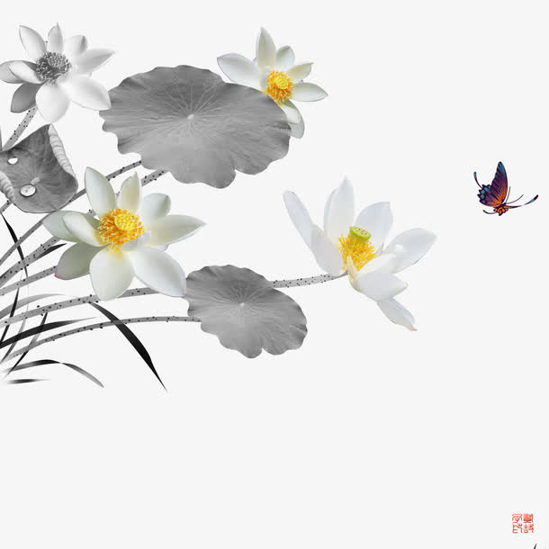 荷花免抠