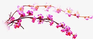 创意海报卡通桃花效果免抠