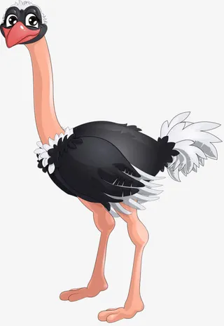 观望鸵鸟免抠