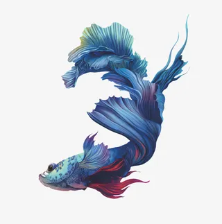 免扣蓝色小鱼免抠