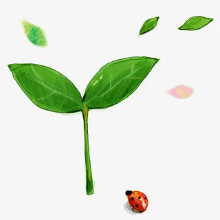 绿色小树苗免抠