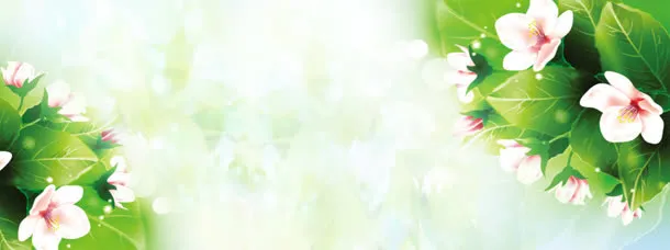 清新花朵背景