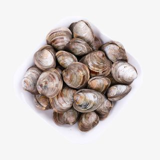 活花蛤小蛤蜊免抠