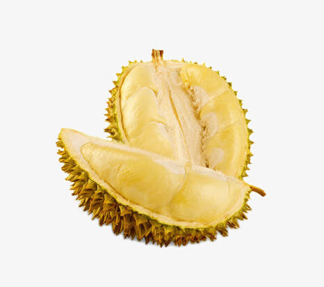 越南新品榴莲免抠