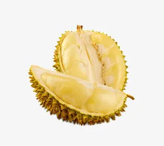 越南新品榴莲免抠