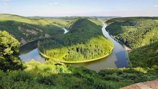 草地,背景,png,素材高清