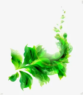 花卉素材绿色春意无边免抠