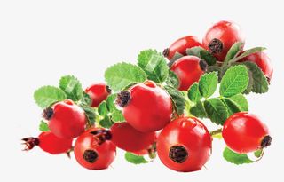 创意新鲜有质感的山楂免抠