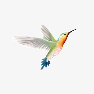 飞翔的蜂鸟免抠