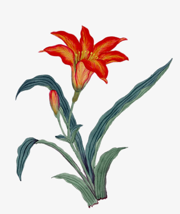 绘画的红色的花枝与绿叶免抠