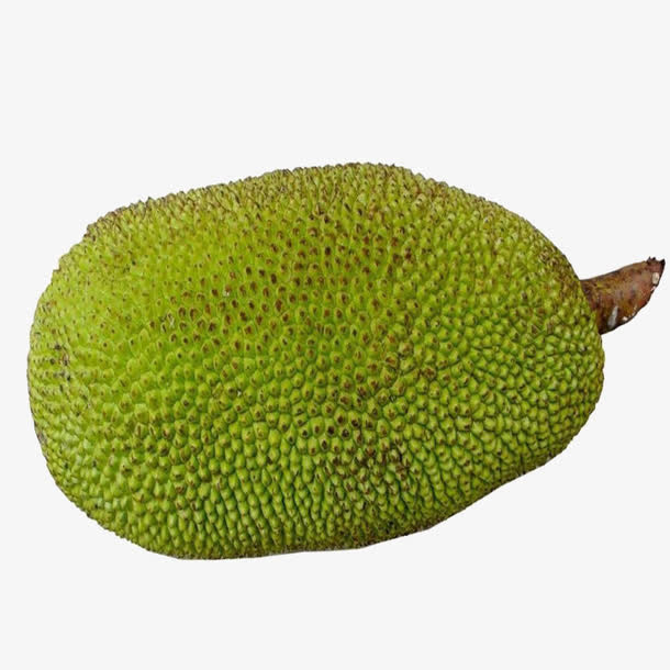 热带水果菠萝蜜免抠装饰植物元素