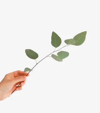 手拿树枝素材免抠免抠