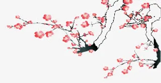 梅花免抠