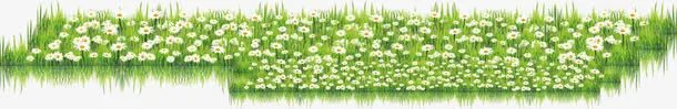 春天清新雏菊花海免抠