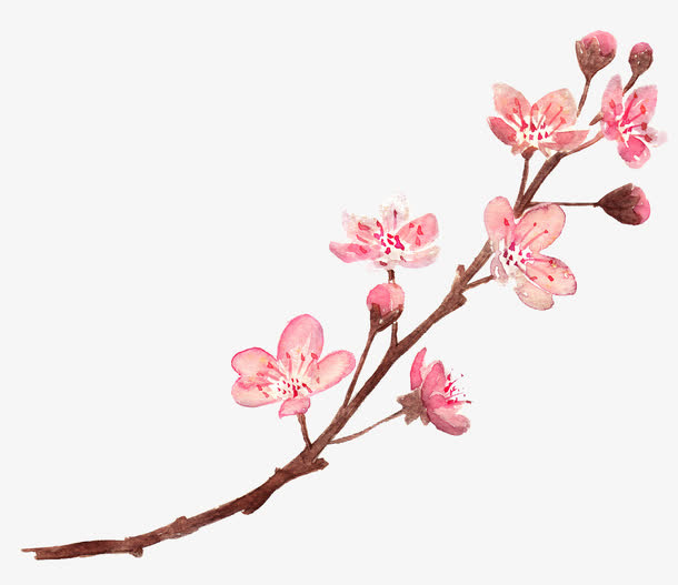 一枝桃花免抠