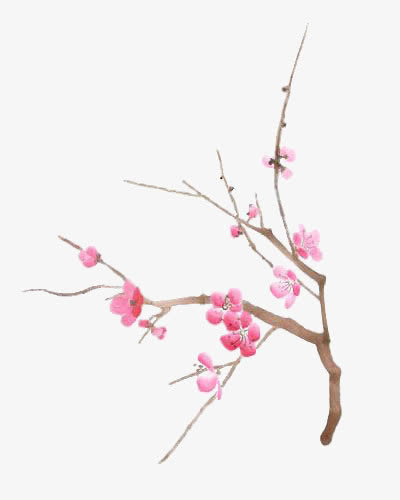 树枝免抠