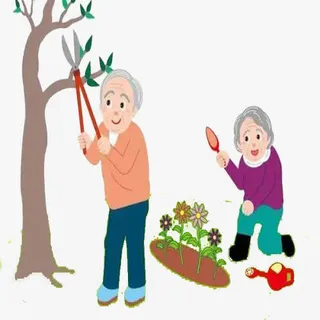 老人们的日常免抠